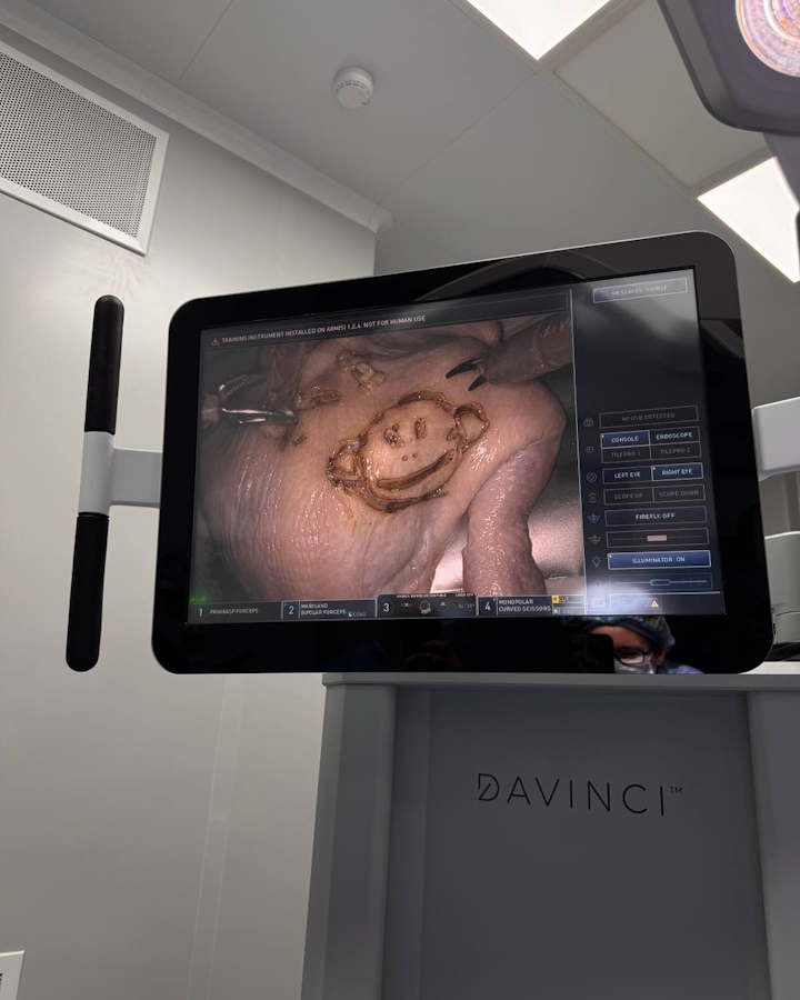 Один день с da Vinci