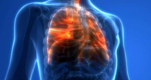 Chest channel