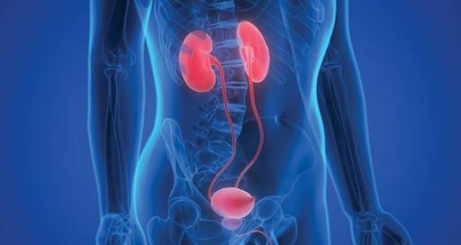 XIII Всероссийская урологическая видеоконференция